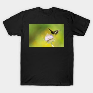 Black Beauty T-Shirt